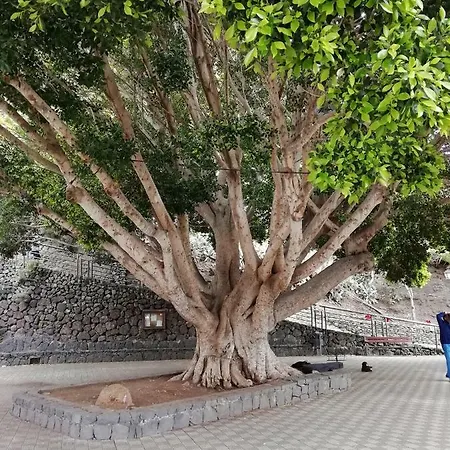 El Cielo In Tenerife 公寓 帕莱索海滩
