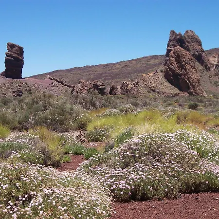 El Cielo In Tenerife 公寓