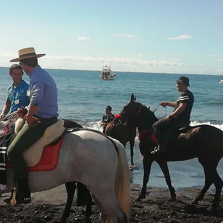 公寓 El Cielo In Tenerife 帕莱索海滩
