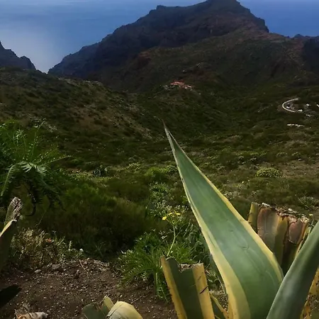 El Cielo In Tenerife *